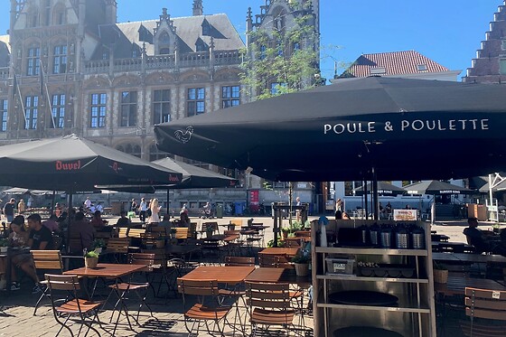 Poule & Poulette Gent (KM11) - photo 12