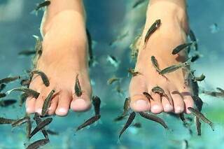 Ictioterapia para 1 | Equador Wellness & Spa - Vila Nova de Gaia