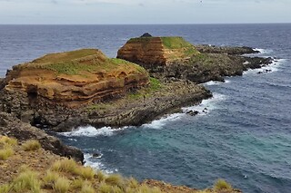 Trilho Pedestre pela Península do Monte Brasil para 1 | Azores Nature Tours, Angra do Heroísmo
