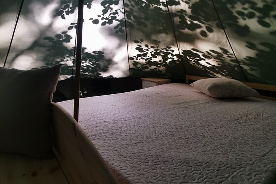 Senxunia Garden Sharing Glamping - photo 7