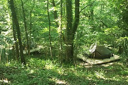 Senxunia Garden Sharing Glamping