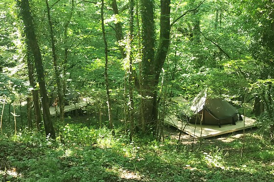 Senxunia Garden Sharing Glamping - photo 10