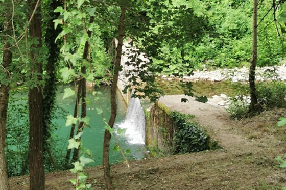 Senxunia Garden Sharing Glamping - photo 11