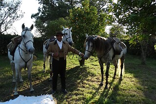 Passeio de Charrete + Batismo a Cavalo para Grupo até 5 | Coudelaria Rita Cotrim, Golegã (Santarém)