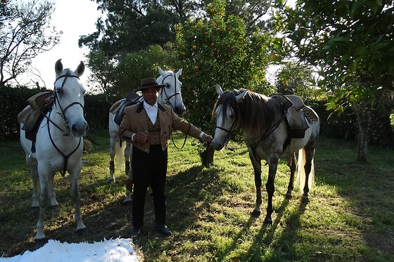 Passeio de Charrete + Batismo a Cavalo para Grupo até 5 | Coudelaria Rita Cotrim, Golegã (Santarém)