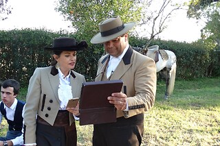 Passeio de Charrete + Batismo a Cavalo para Grupo até 5 | Coudelaria Rita Cotrim, Golegã (Santarém)