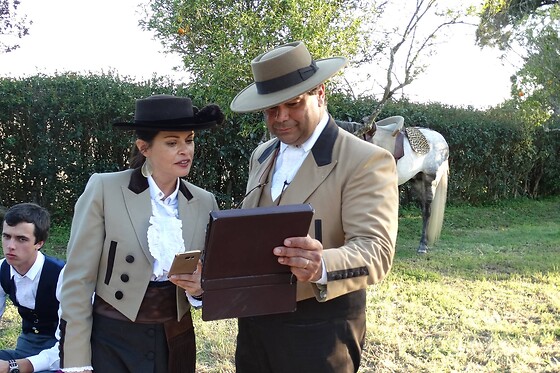 Passeio de Charrete + Batismo a Cavalo para Grupo até 5 | Coudelaria Rita Cotrim, Golegã (Santarém)