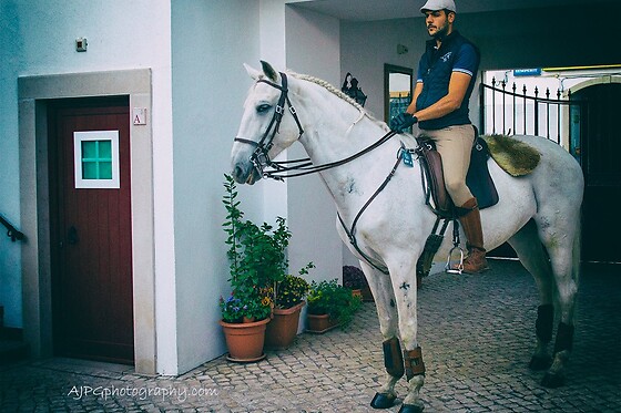 Passeio de Charrete + Batismo a Cavalo para Grupo até 5 | Coudelaria Rita Cotrim, Golegã (Santarém)
