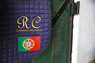 Passeio de Charrete + Batismo a Cavalo para Grupo até 5 | Coudelaria Rita Cotrim, Golegã (Santarém)