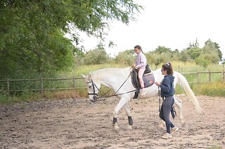 Passeio de Charrete + Batismo a Cavalo para Grupo até 5 | Coudelaria Rita Cotrim, Golegã (Santarém)