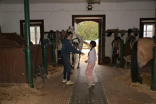 Passeio de Charrete + Batismo a Cavalo para Grupo até 5 | Coudelaria Rita Cotrim, Golegã (Santarém)