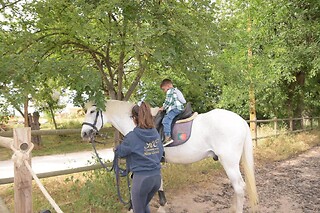 Passeio de Charrete + Batismo a Cavalo para Grupo até 5 | Coudelaria Rita Cotrim, Golegã (Santarém)