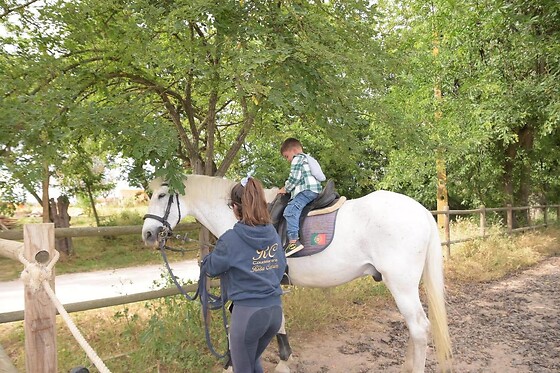 Passeio de Charrete + Batismo a Cavalo para Grupo até 5 | Coudelaria Rita Cotrim, Golegã (Santarém)