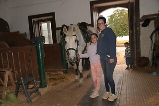 Passeio de Charrete + Batismo a Cavalo para Grupo até 5 | Coudelaria Rita Cotrim, Golegã (Santarém)