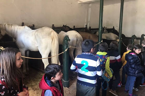 Passeio de Charrete + Batismo a Cavalo para Grupo até 5 | Coudelaria Rita Cotrim, Golegã (Santarém)