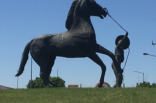 Passeio de Charrete + Batismo a Cavalo para Grupo até 5 | Coudelaria Rita Cotrim, Golegã (Santarém)