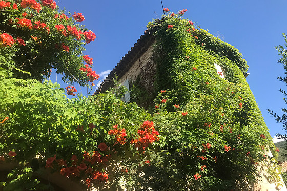 Chambre d'hôtes La Destinée - photo 0