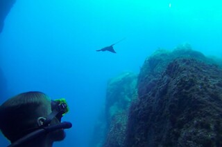Snorkeling em Angra do Heroísmo | Para 1 pessoa - 2h | Green Generation - Açores