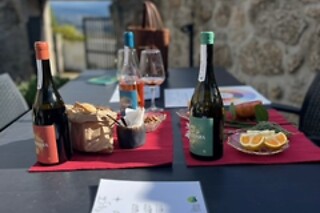 Enoturismo a 2 na Villa Seara | 1 noite em quarto duplo com prova de vinho e tapas | Celorico de Basto
