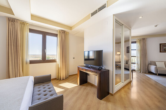 HOTEL SPA VILLA NAZULES - photo 14