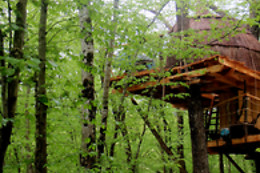 Cabanes du Bois Clair