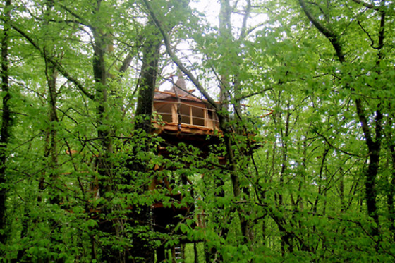 Cabanes du Bois Clair - photo 5