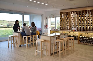 Aprenda o método tradicional da pisa de vinho com a Ervideira Wine - Reguengos de Monsaraz