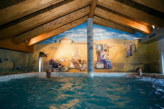POSADA LOS CONDESTABLES HOTEL & SPA - photo 14