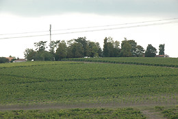 Chez Bilhouet