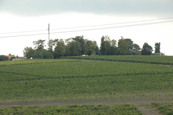 Chez Bilhouet - photo 8