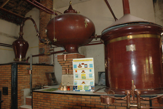 Chez Bilhouet - photo 7