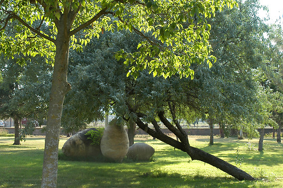 HOTEL SAN CAMILO - photo 9