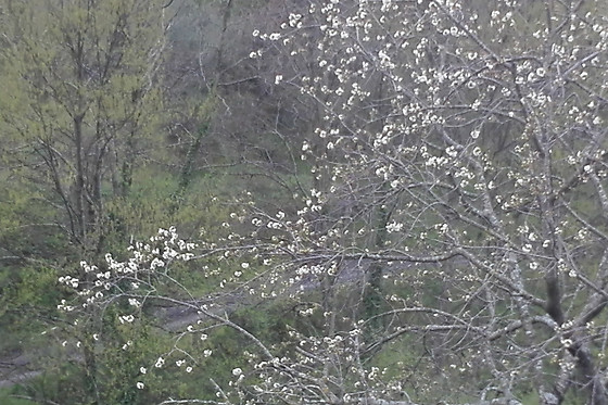 TerreRosse di Massadita - photo 2