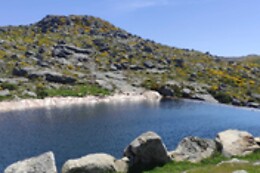 CORGA TOURS