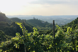 Colle Regina