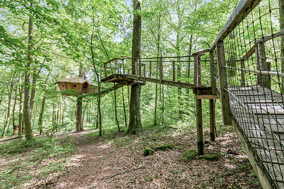 L'Arbre à Cabane - photo 8