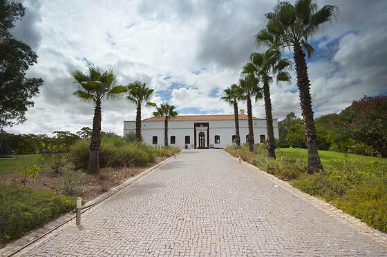 Uma noite com pequeno-almoço para 2 | Alentejo Star Hotel**** - Beja