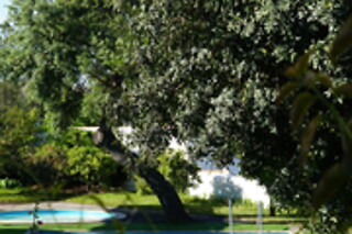 Uma noite com pequeno-almoço para 2 | Alentejo Star Hotel**** - Beja
