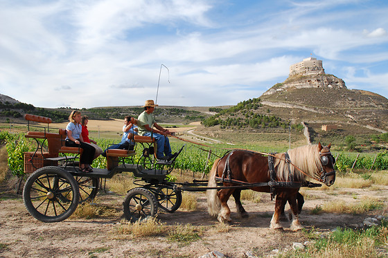 BODEGAS COMENGE - photo 4
