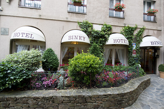 Hotel Biney - photo 3