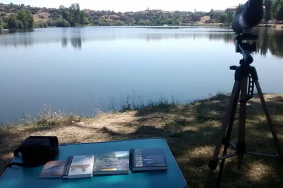 BLETISAVENTURA - photo 3