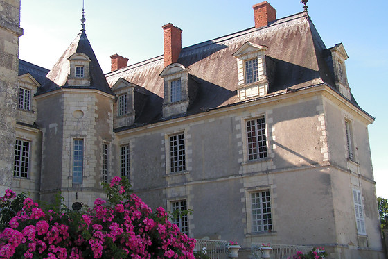 Château de Gizeux - photo 3