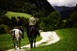 HIPICA BAYTAR