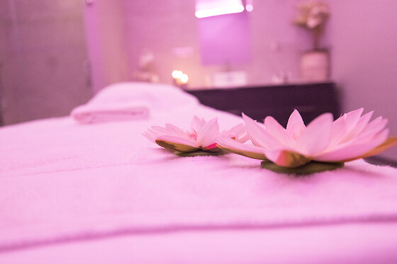 Hôtel Marotte - photo 6