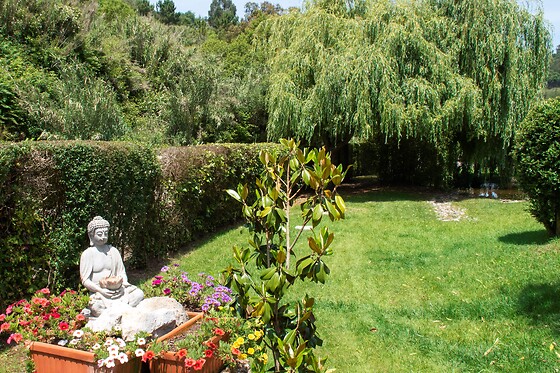 Quinta Japonesa - photo 11