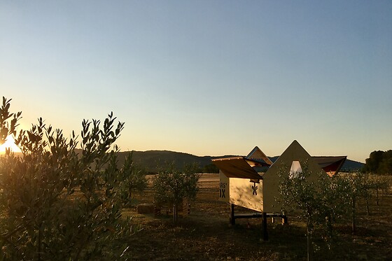 Agricamping Spineta - photo 1