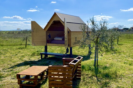Agricamping Spineta - photo 5