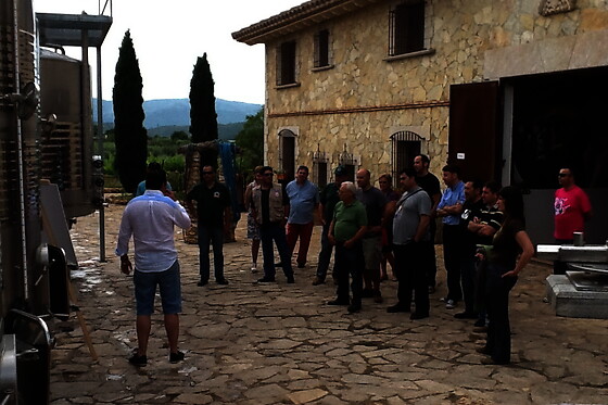 BODEGAS Y VIÑEDOS BARON D'ALBA - photo 4