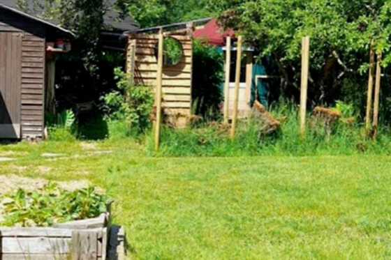 L'Echappée au jardin - photo 6