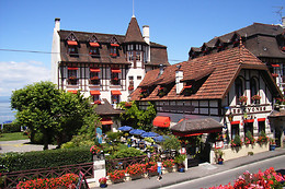 Hôtel Les Cygnes